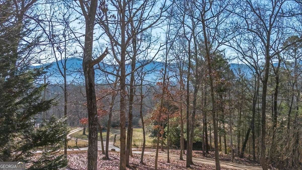 878 Copperhead Road Blairsville - 6