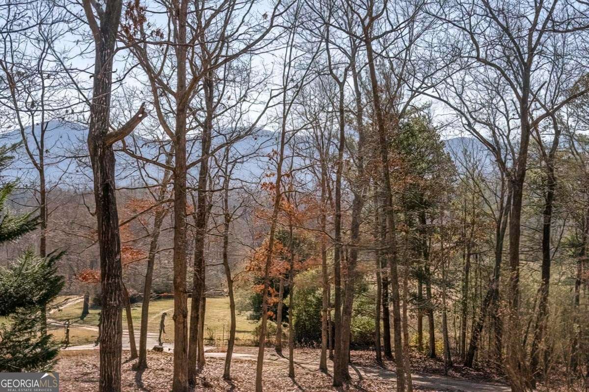 878 Copperhead Road Blairsville - 7