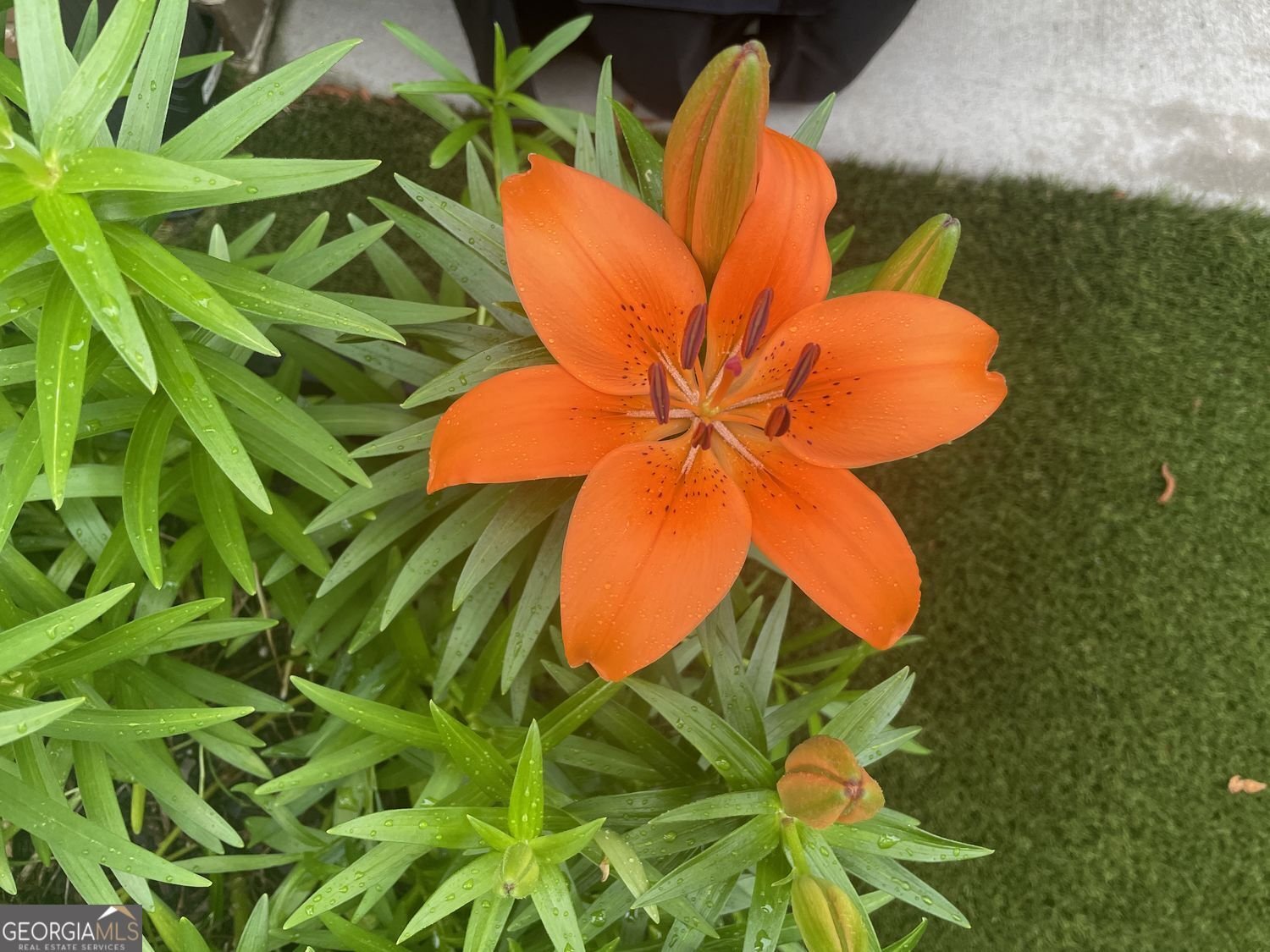 3985 Duke Reserve Circle Peachtree Corners - 58