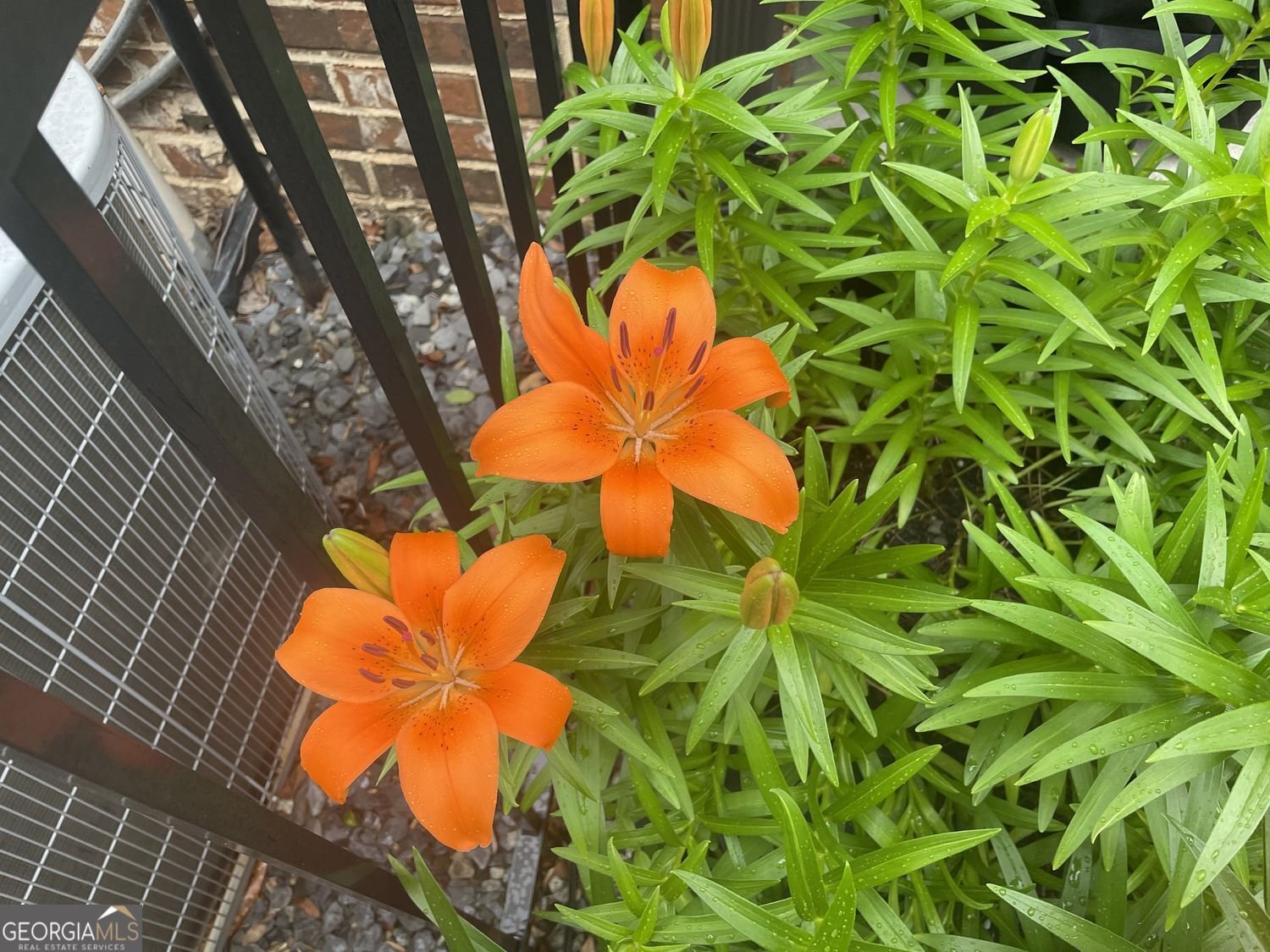 3985 Duke Reserve Circle Peachtree Corners - 60