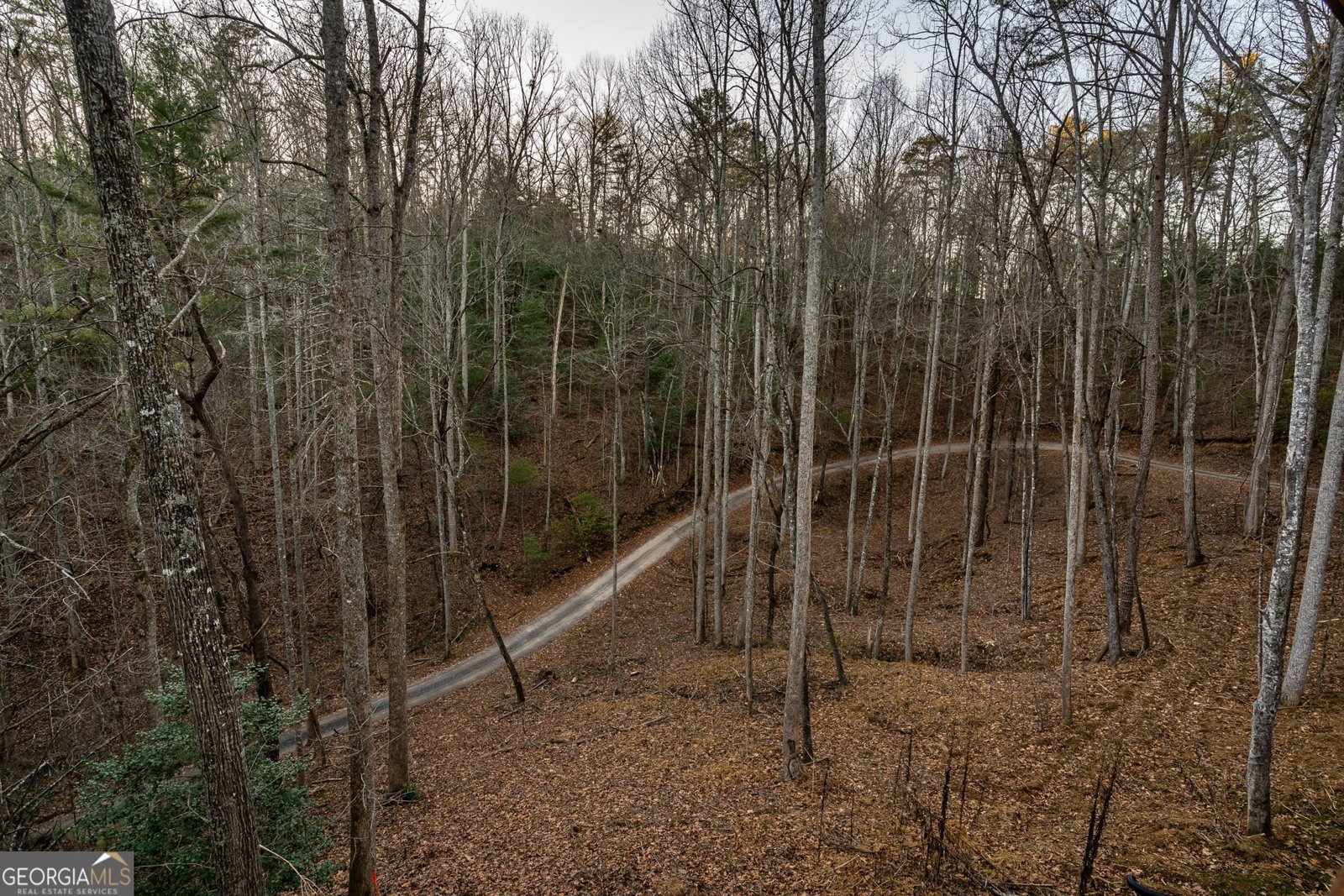 307 Ross Road Mineral Bluff - 51