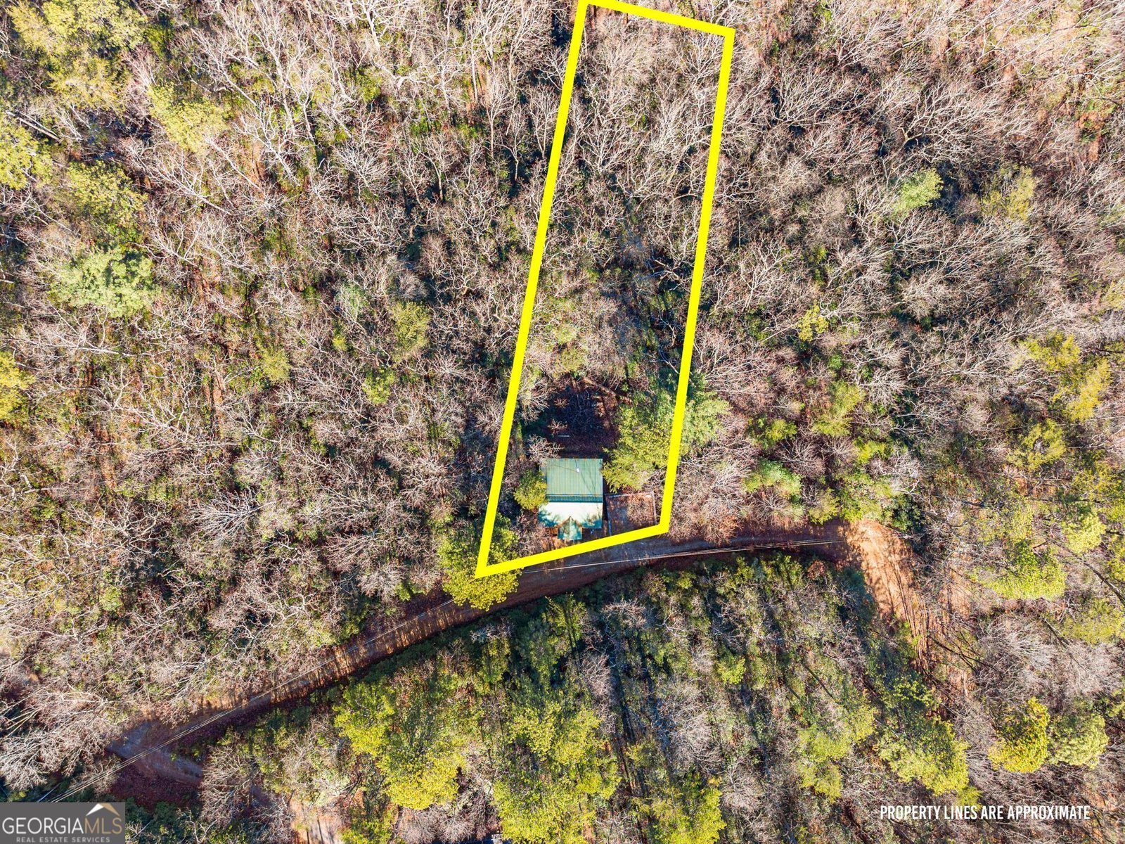 515 Wood Sorrel Lane Clayton - 3