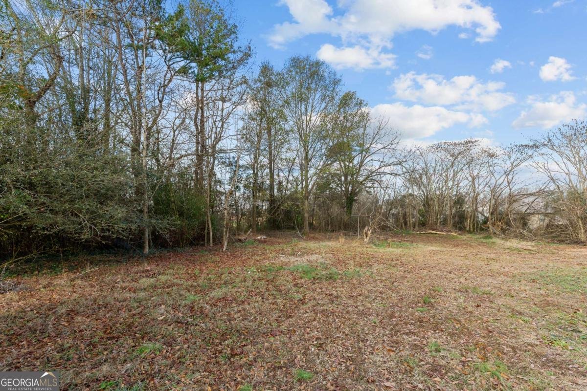 3685 Settingdown Road Cumming - 34