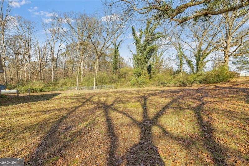 33 Andrews Road Carnesville - 26