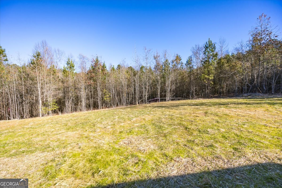 167 Mountain Springs Church Road Macon - 26