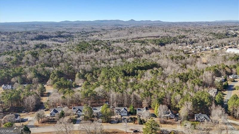 1663 Old Nelson Ball Ground - 39