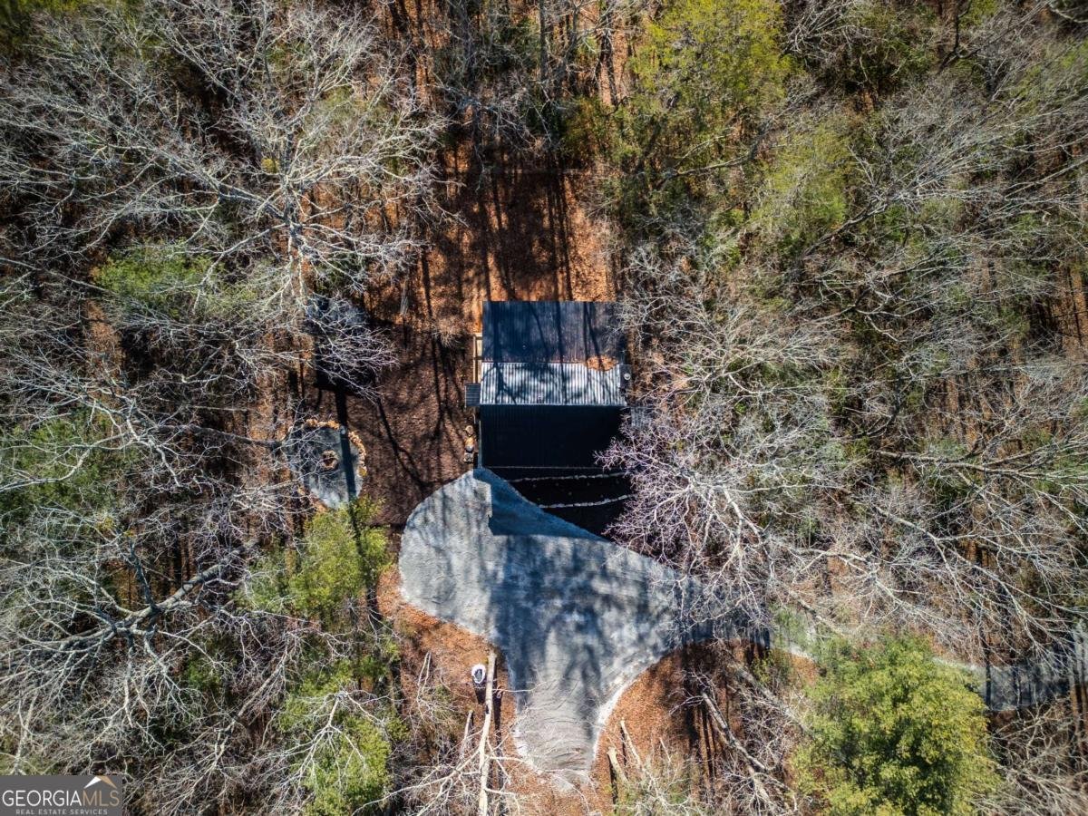 292 Wits End Way Blue Ridge - 27