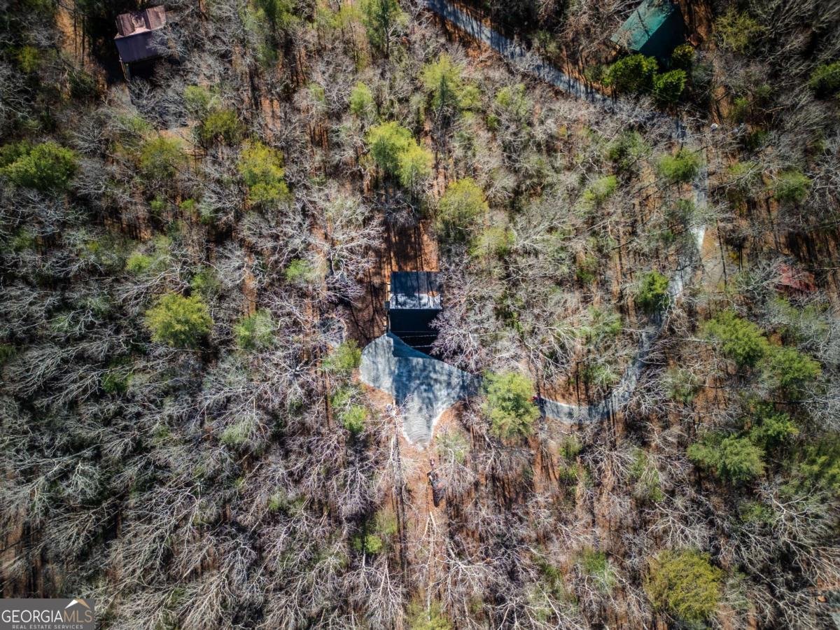 292 Wits End Way Blue Ridge - 29