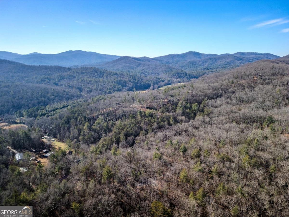 292 Wits End Way Blue Ridge - 30