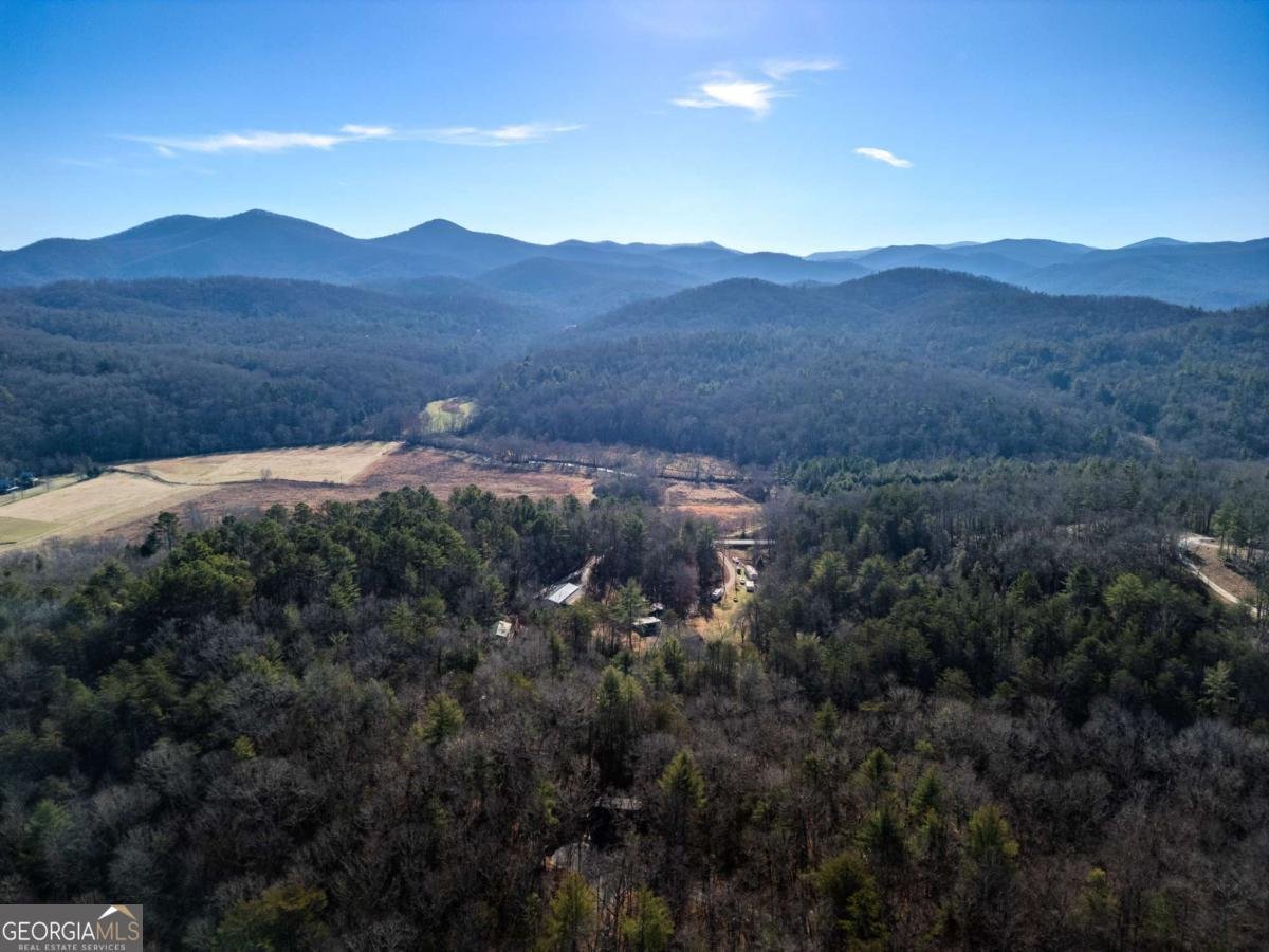 292 Wits End Way Blue Ridge - 31