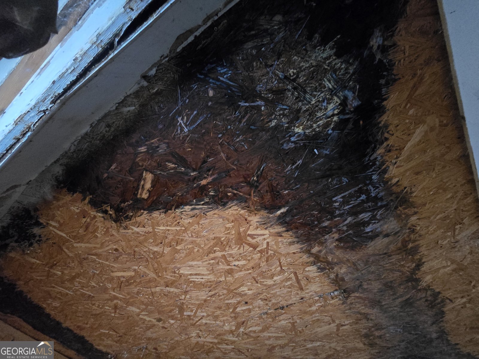 1595 Us Highway 319 Norman Park - 4