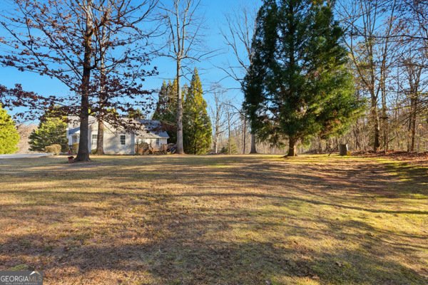 187 Poplar Springs Drive Demorest - 33
