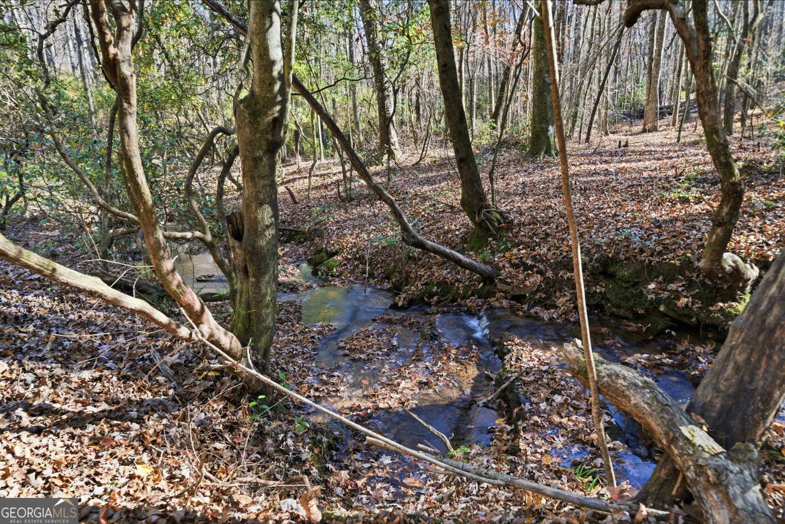 120 Twisted Pines Crossing Dahlonega - 48