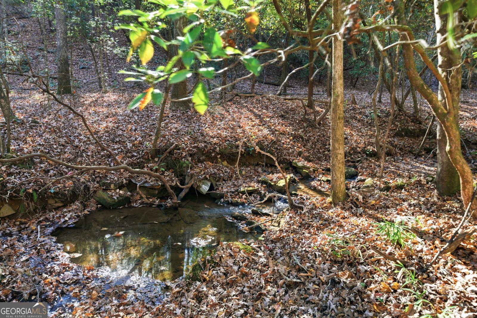 120 Twisted Pines Crossing Dahlonega - 49