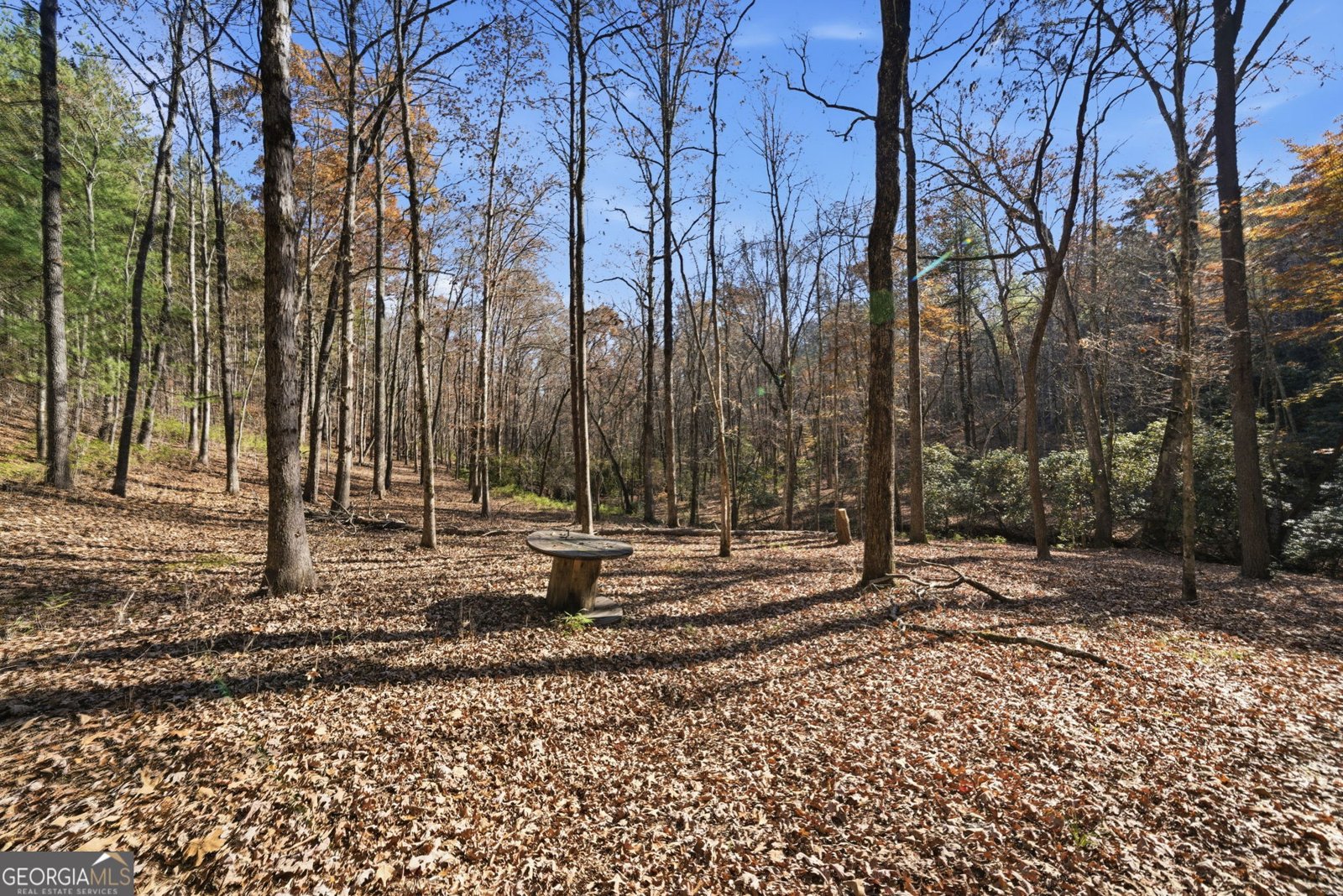 120 Twisted Pines Crossing Dahlonega - 50