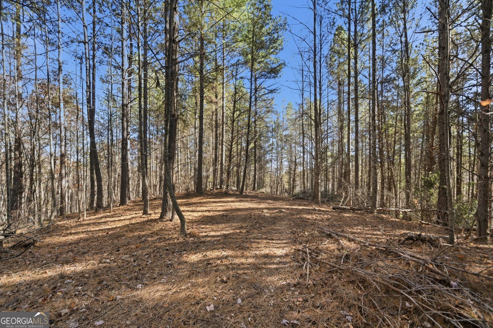 120 Twisted Pines Crossing Dahlonega - 51