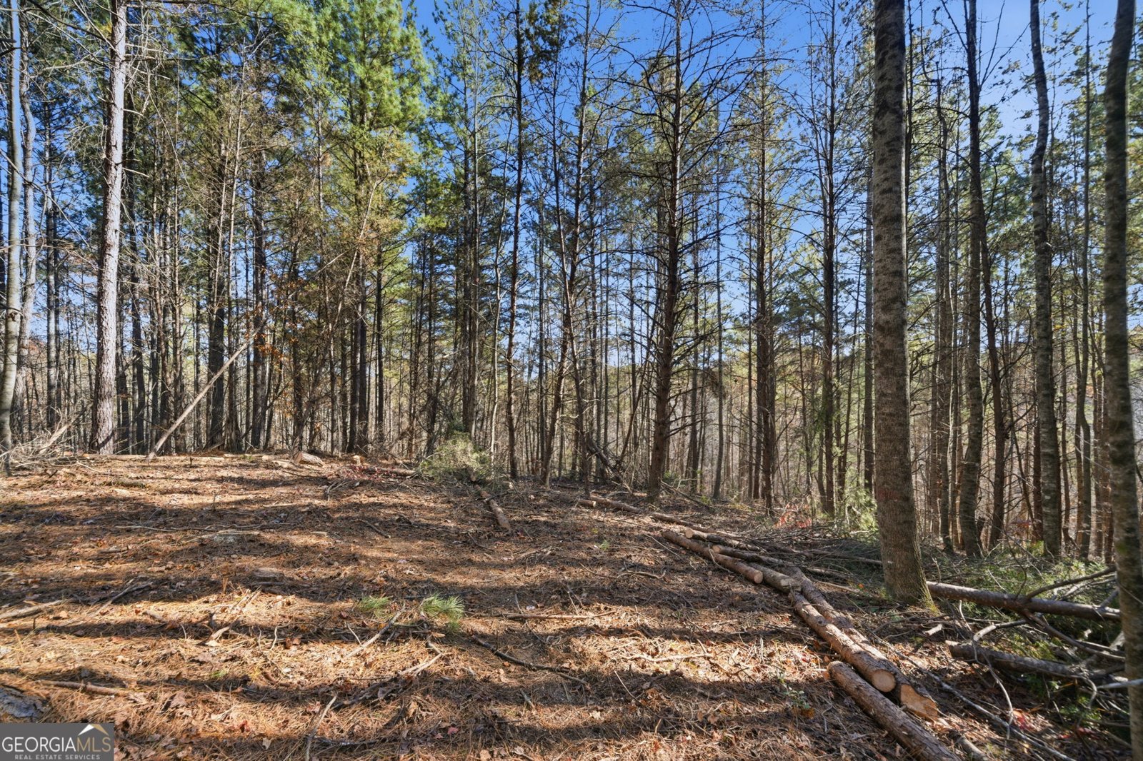 120 Twisted Pines Crossing Dahlonega - 52