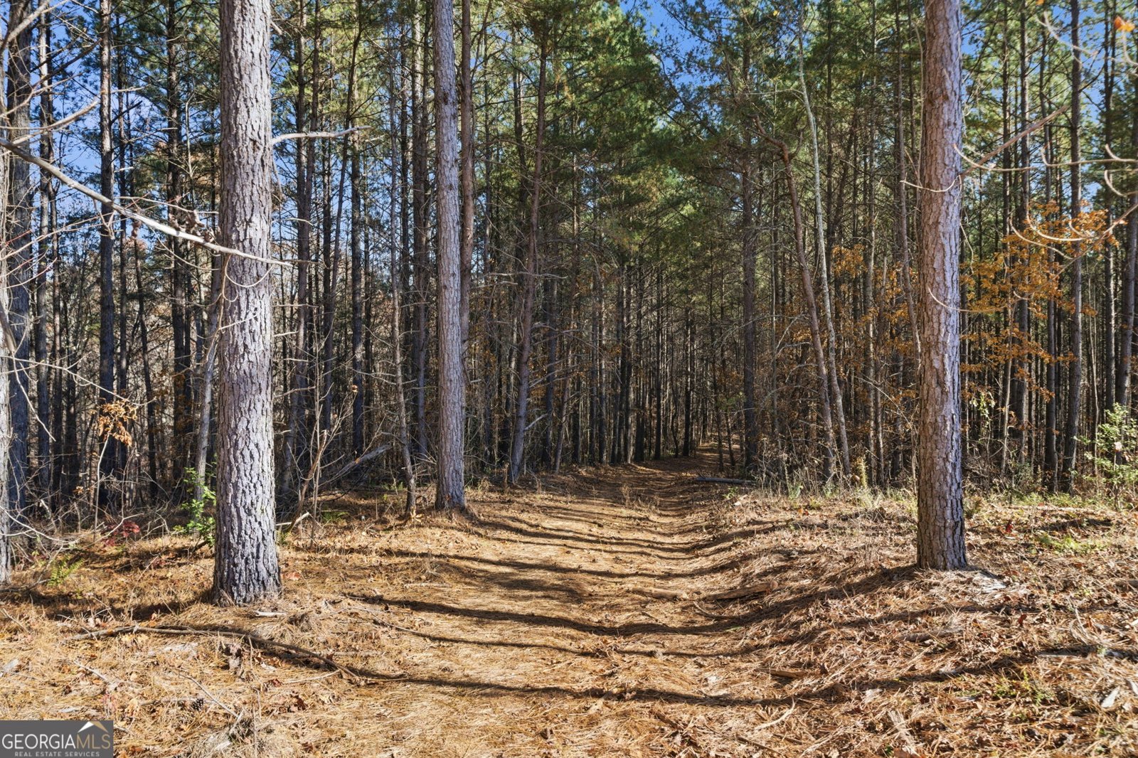 120 Twisted Pines Crossing Dahlonega - 53