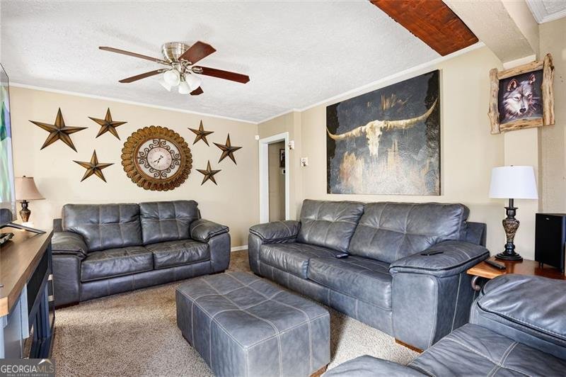 3939 Hillside Lane Douglasville - 10