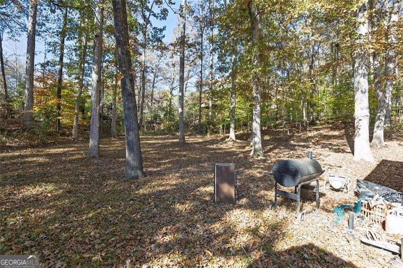 3939 Hillside Lane Douglasville - 30