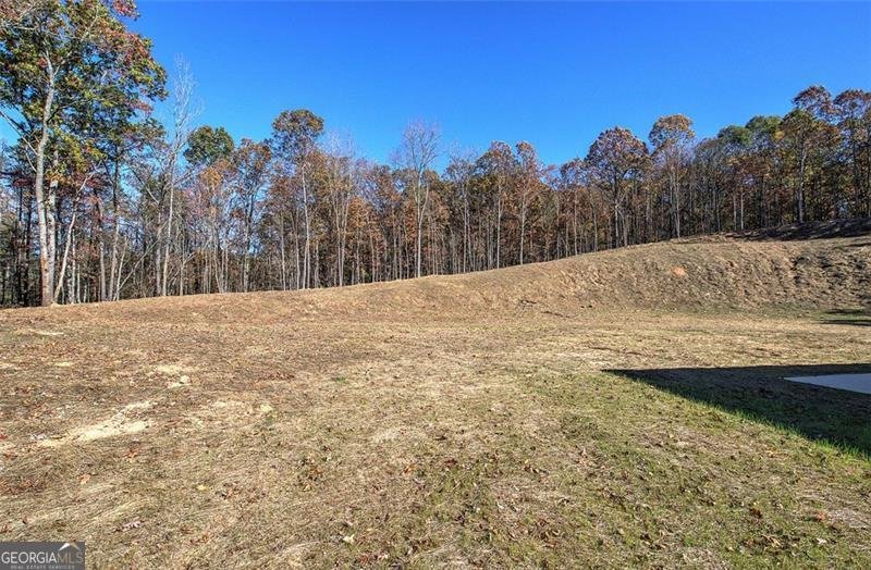 443 ROAD 3 SOUTH Cartersville - 28