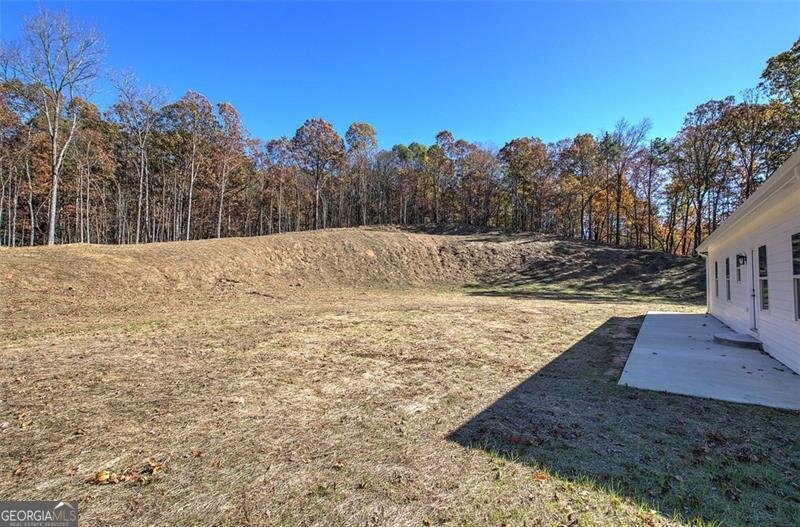 443 ROAD 3 SOUTH Cartersville - 29