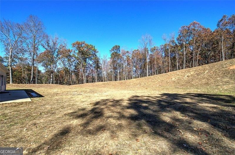 443 ROAD 3 SOUTH Cartersville - 31