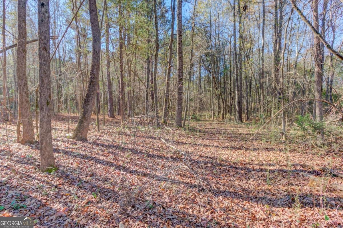 614 Anns Way Winder - 39