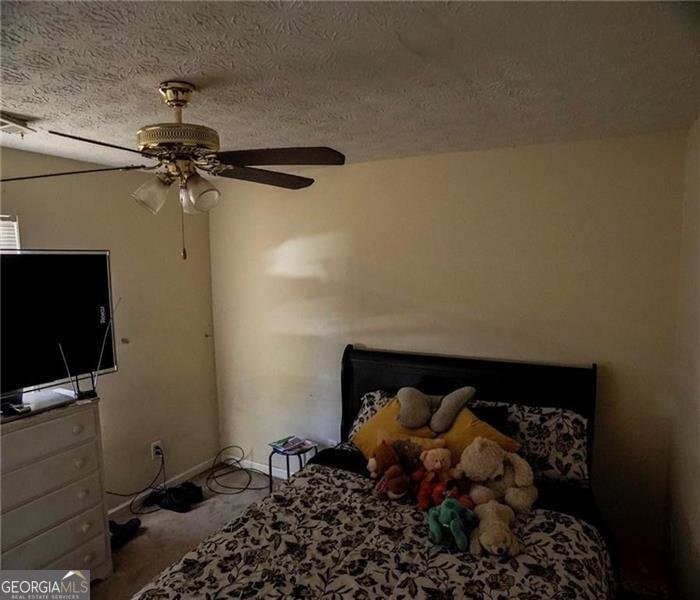 493 LAKE Drive Riverdale - 30