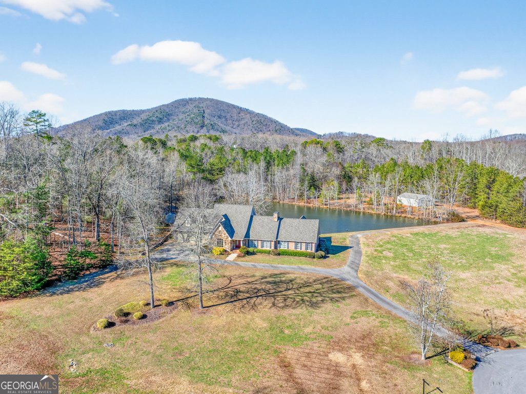 6725 EUBANKS CREEK Drive Clermont - Photo 61