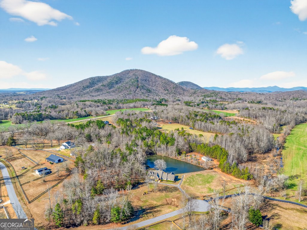 6725 EUBANKS CREEK Drive Clermont - Photo 62