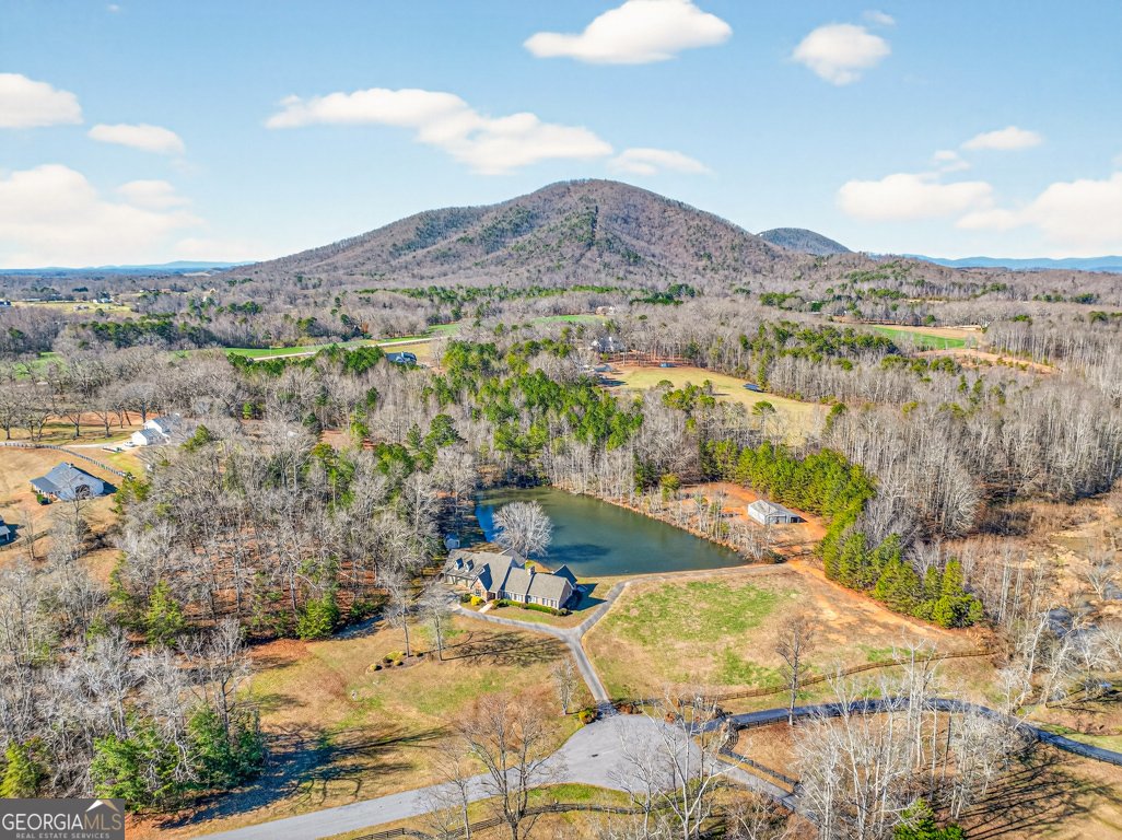 6725 EUBANKS CREEK Drive Clermont - Photo 63