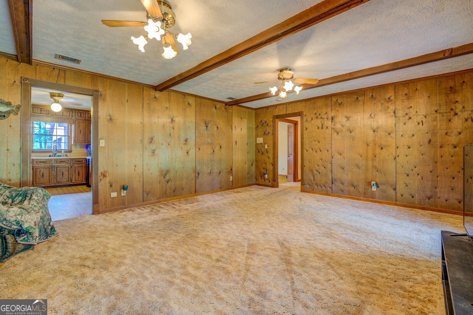 5225 Bailey Road Conyers - 29