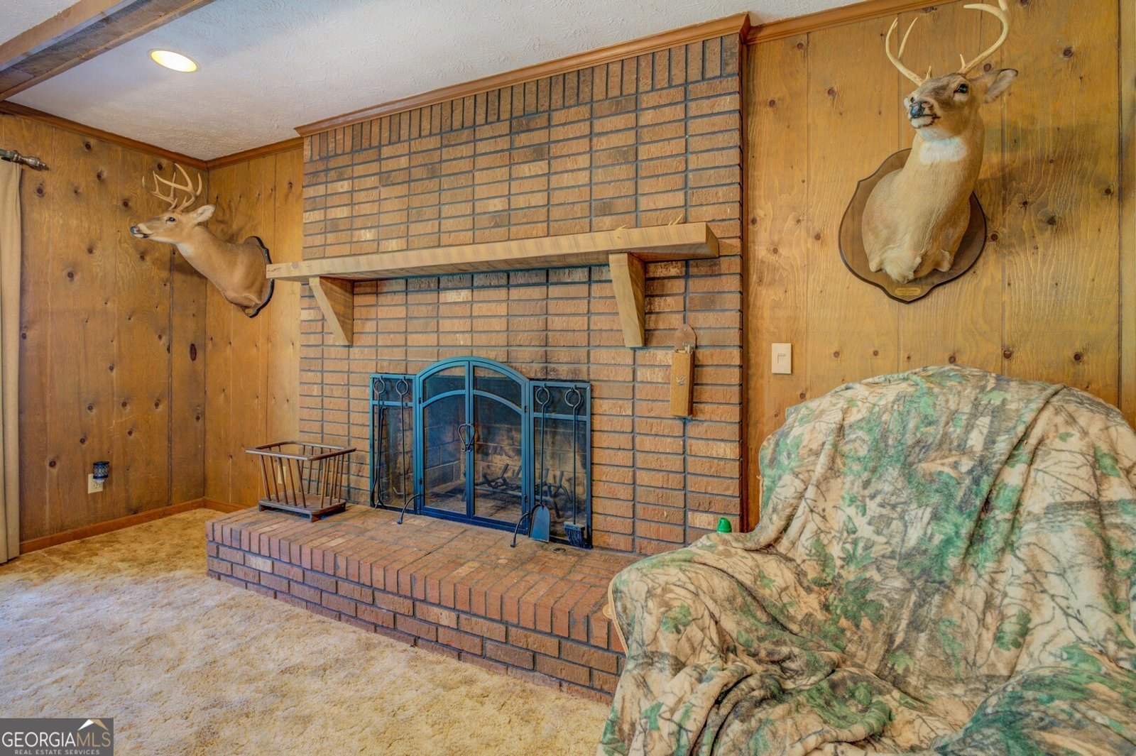 5225 Bailey Road Conyers - 31