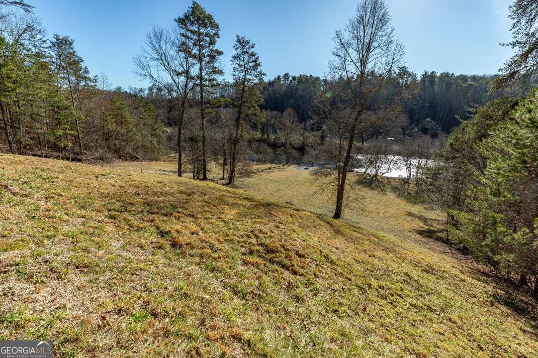661 Toccoa River Forest Lane Mineral Bluff - 61