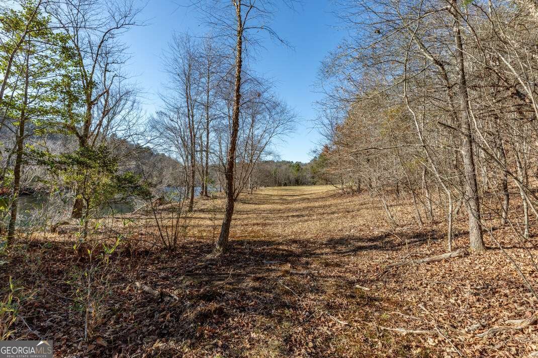 661 Toccoa River Forest Lane Mineral Bluff - 72