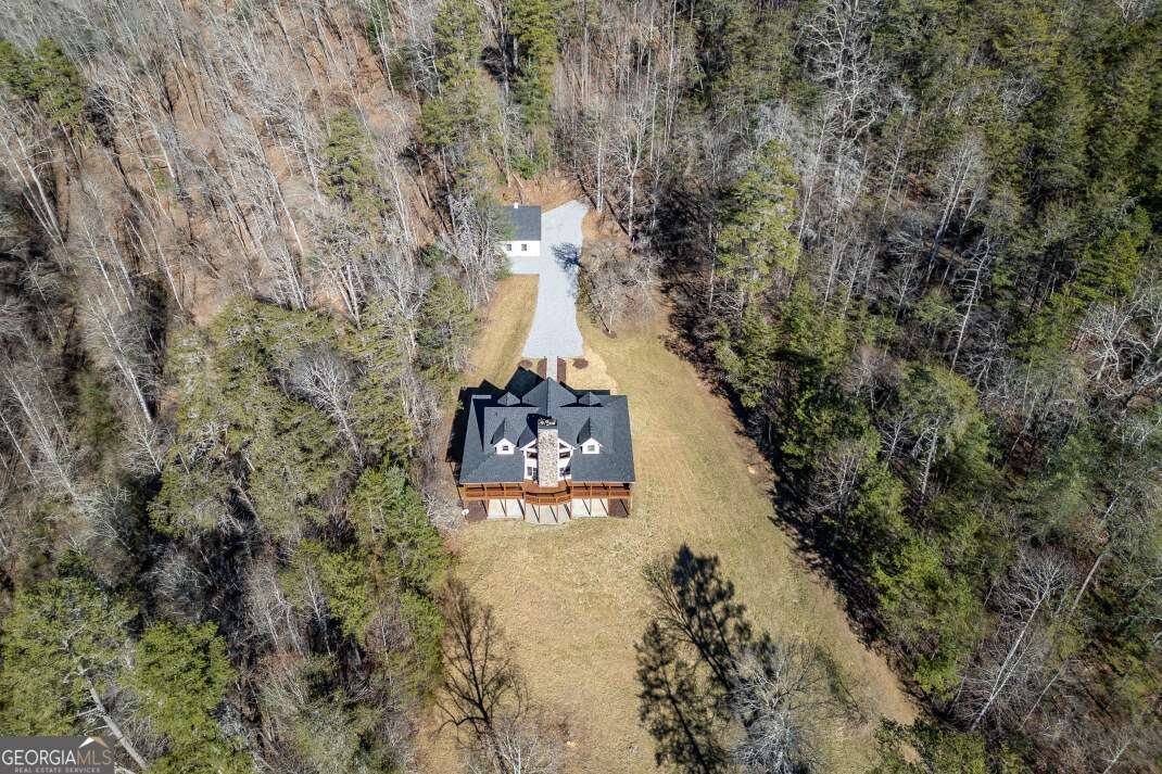 661 Toccoa River Forest Lane Mineral Bluff - 75