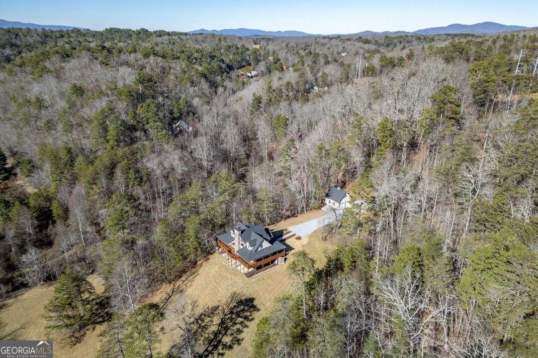661 Toccoa River Forest Lane Mineral Bluff - 81