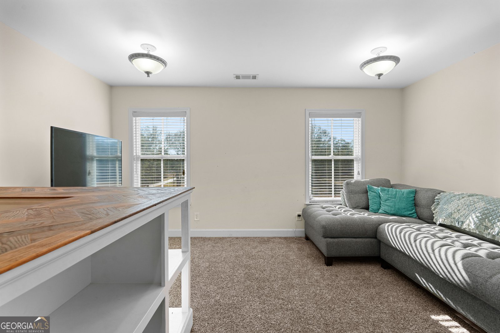 371 Milner Street Meansville - 42