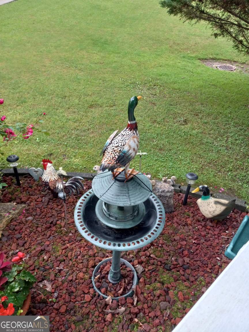 113 Joshua Farms Lane Ringgold - 32