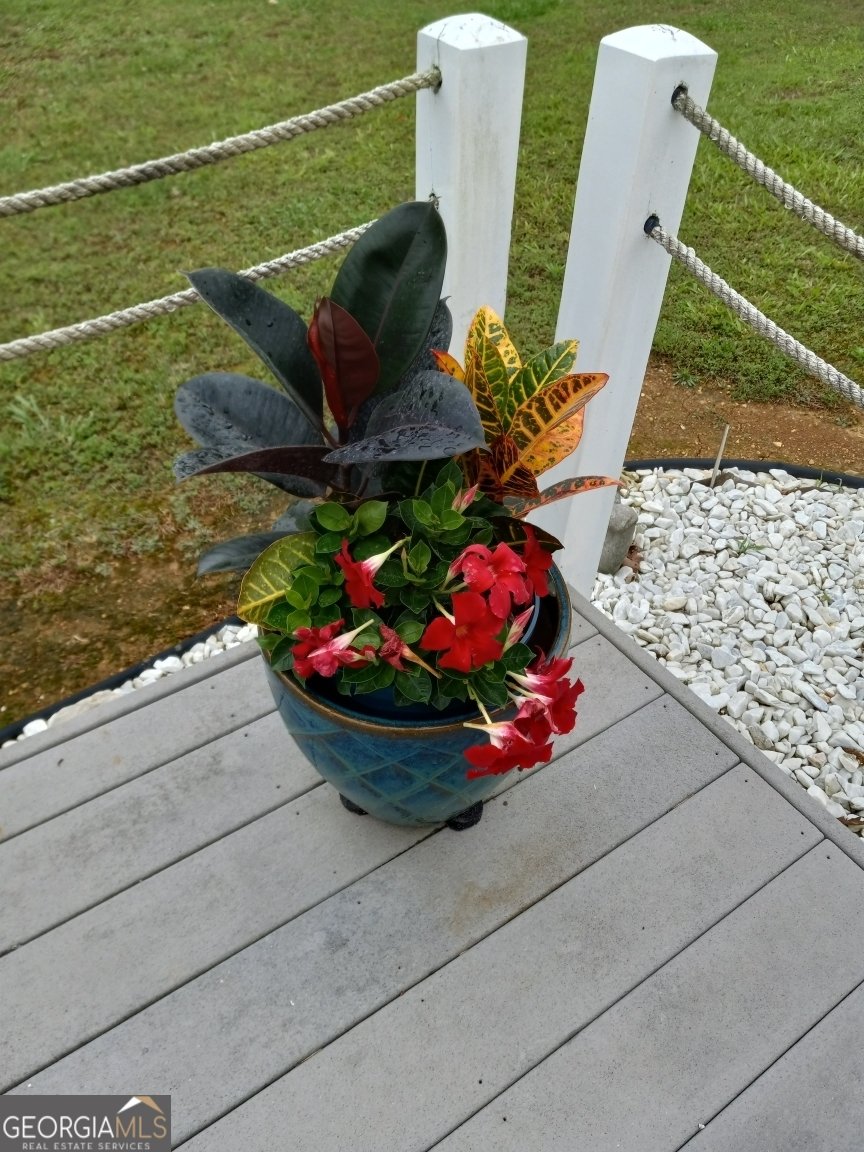 113 Joshua Farms Lane Ringgold - 34