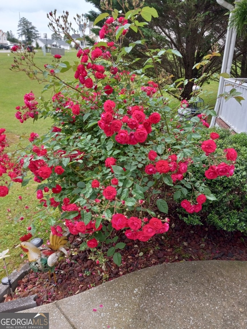 113 Joshua Farms Lane Ringgold - 36