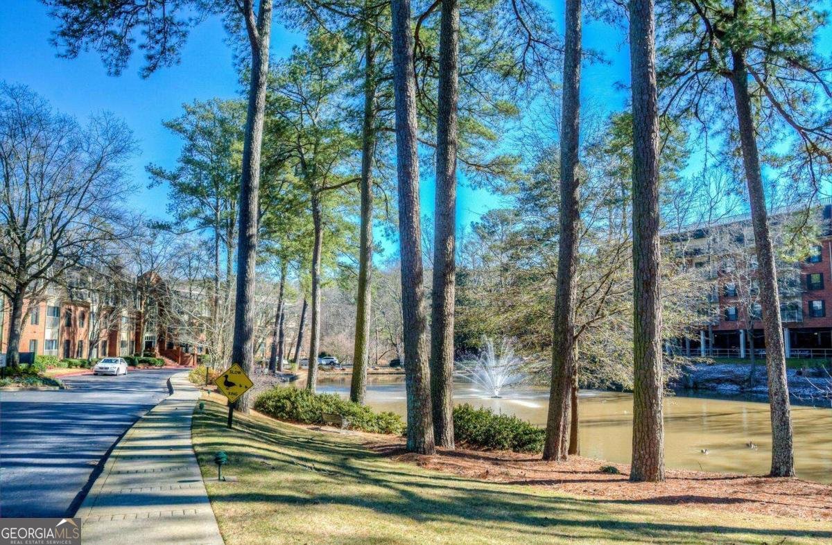 27207 Plantation Drive Atlanta - 33