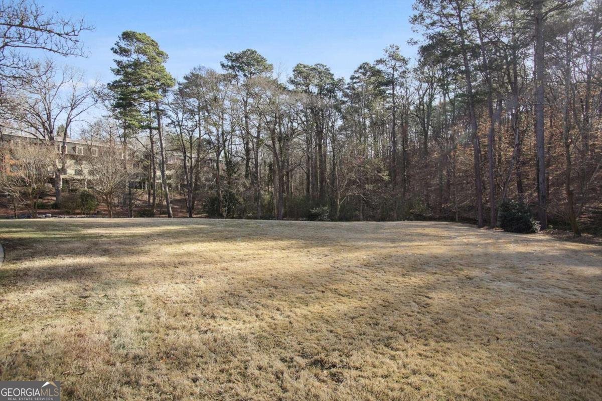 27207 Plantation Drive Atlanta - 43