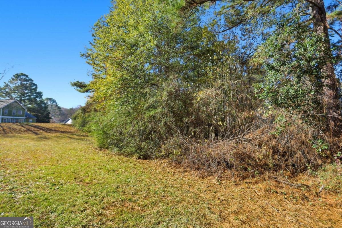 1660 Creek Crossing Conyers - 29