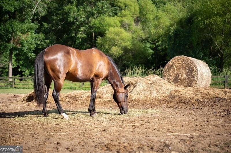 253 Lask Lane Milton - 30