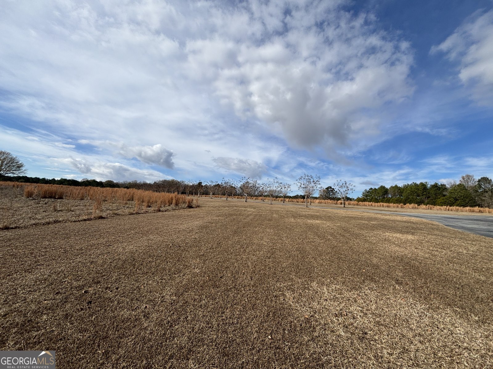 555 Limestone Road Cochran - 119