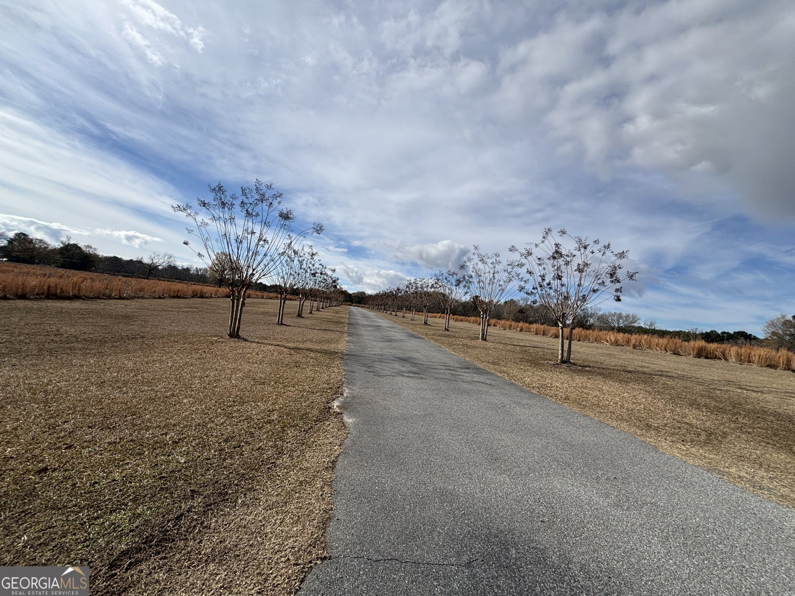 555 Limestone Road Cochran - 122