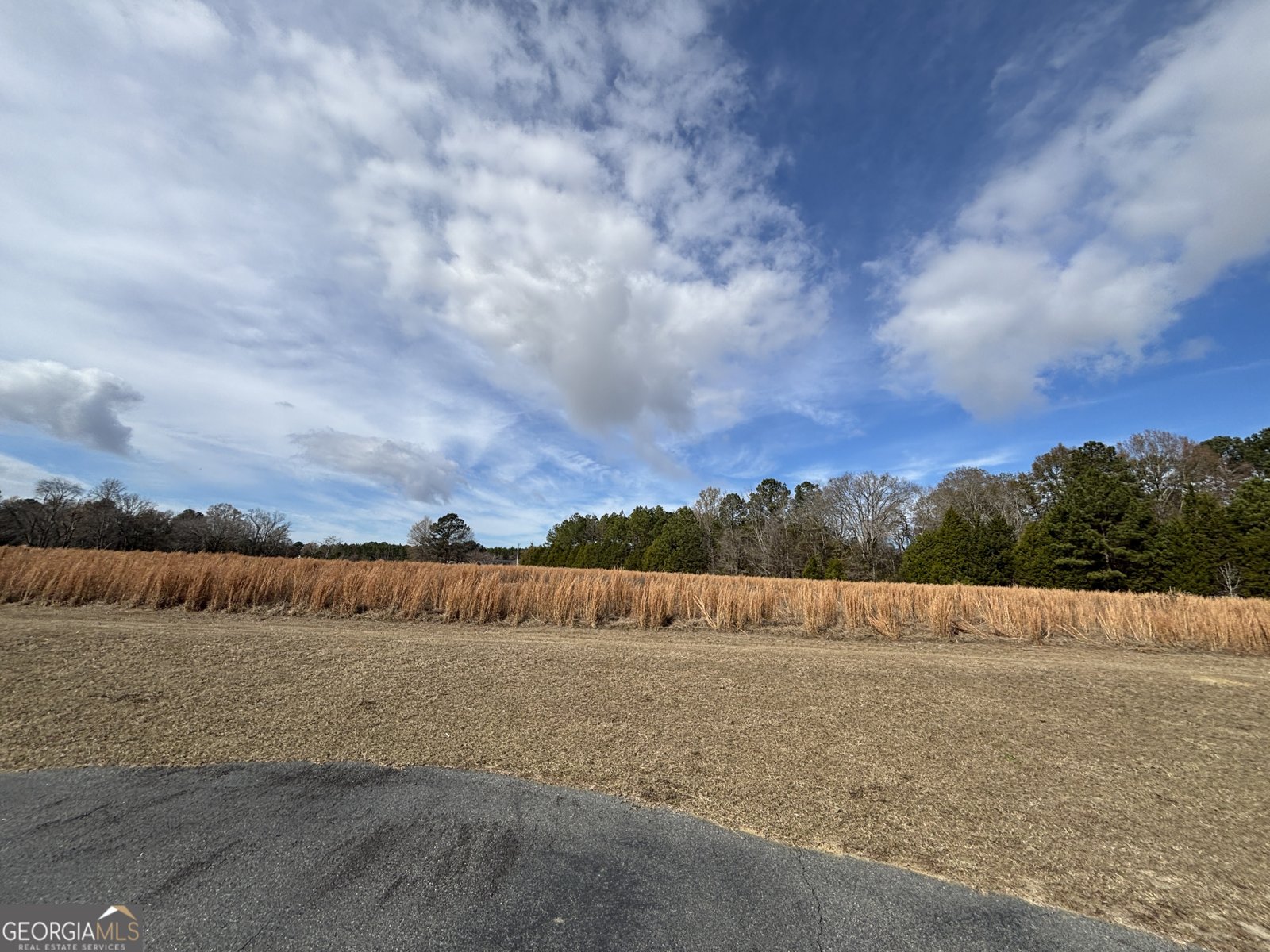 555 Limestone Road Cochran - 124