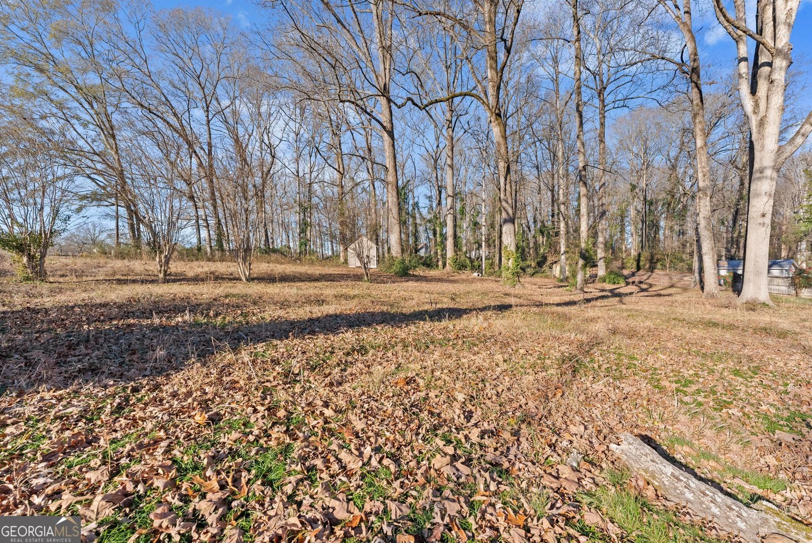 103 Grove Level Drive Commerce - 13